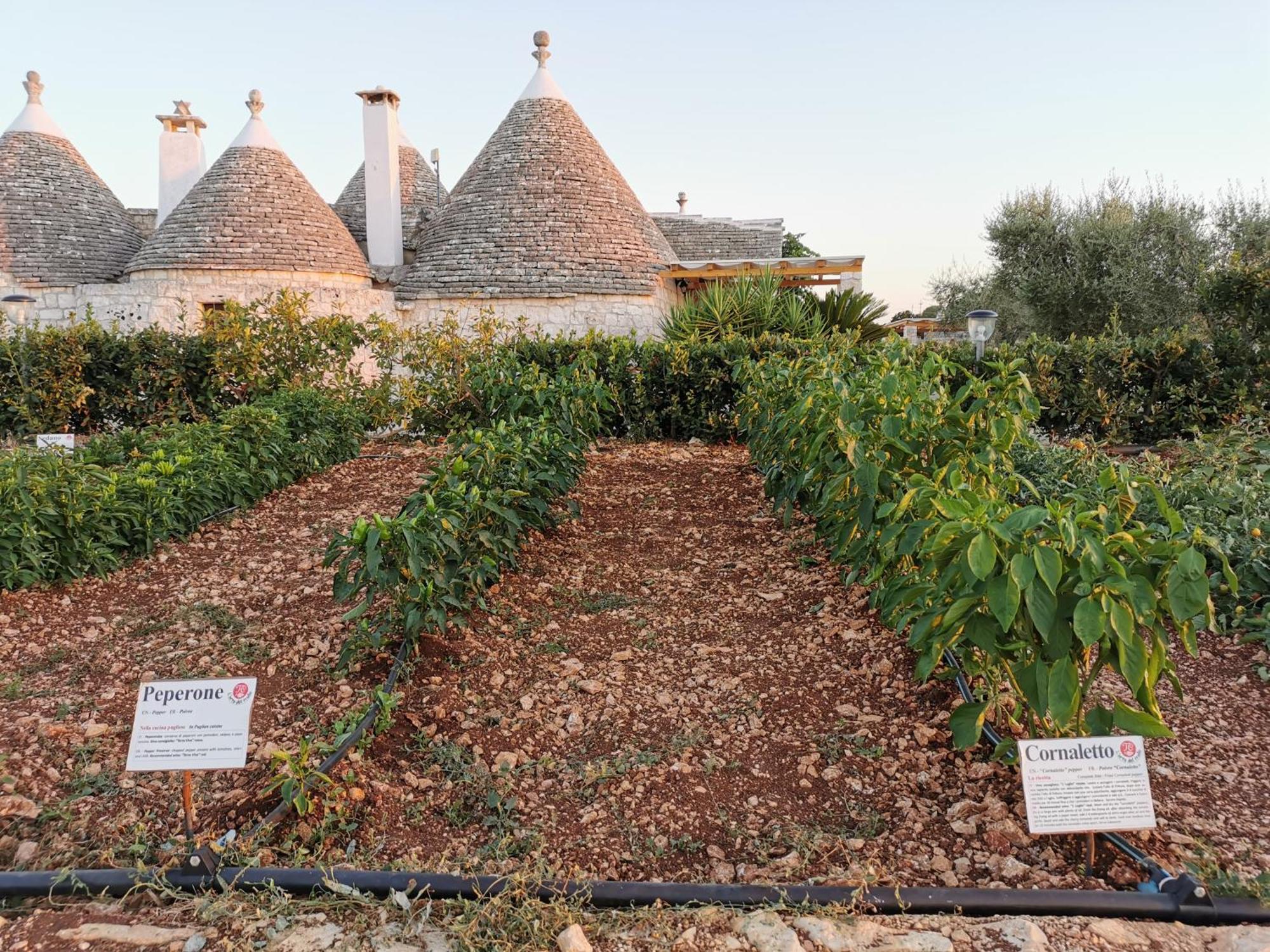 Trulli Il Castagno Guest House Martina Franca Exterior photo