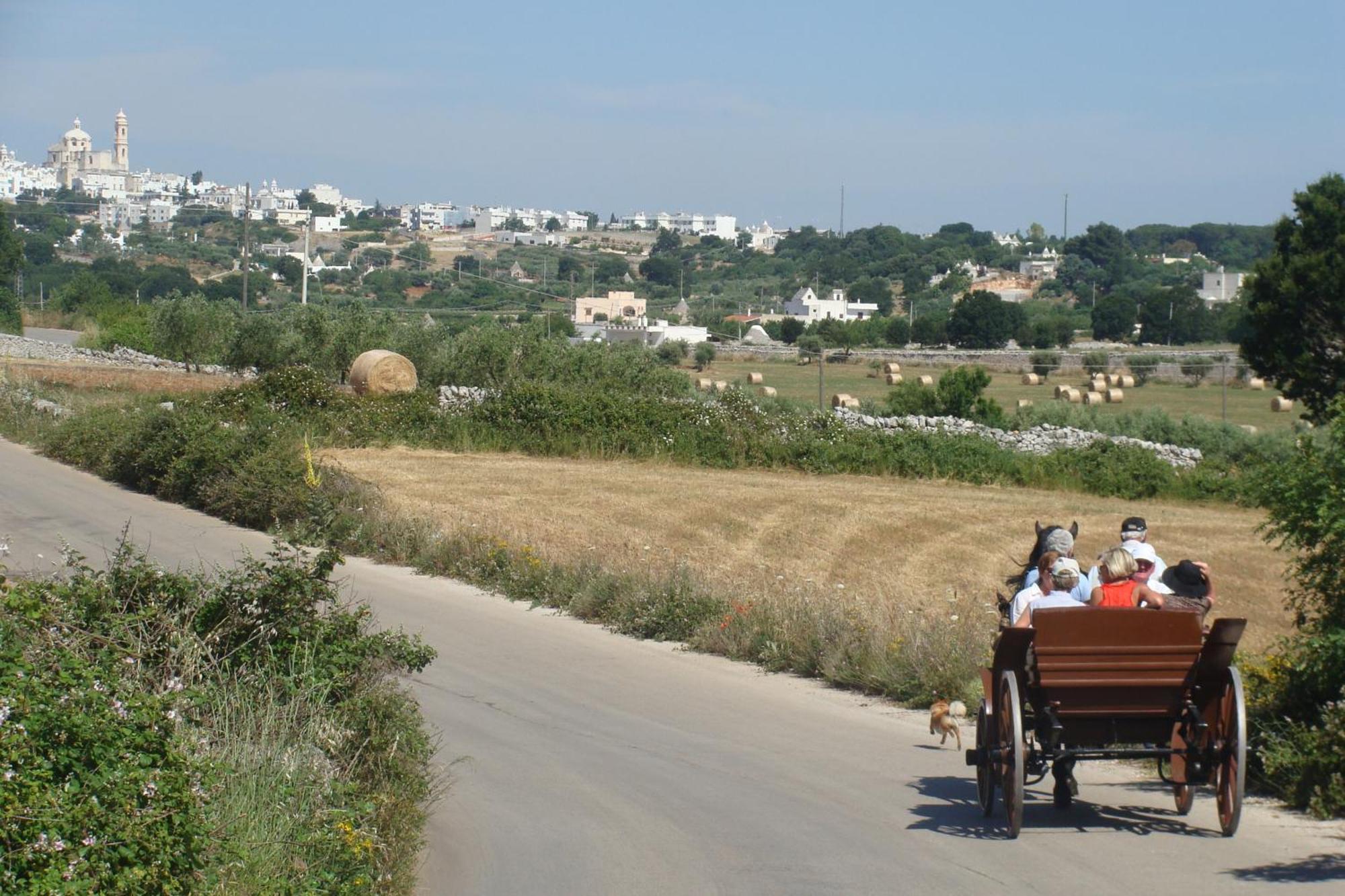 Trulli Il Castagno Guest House Martina Franca Exterior photo