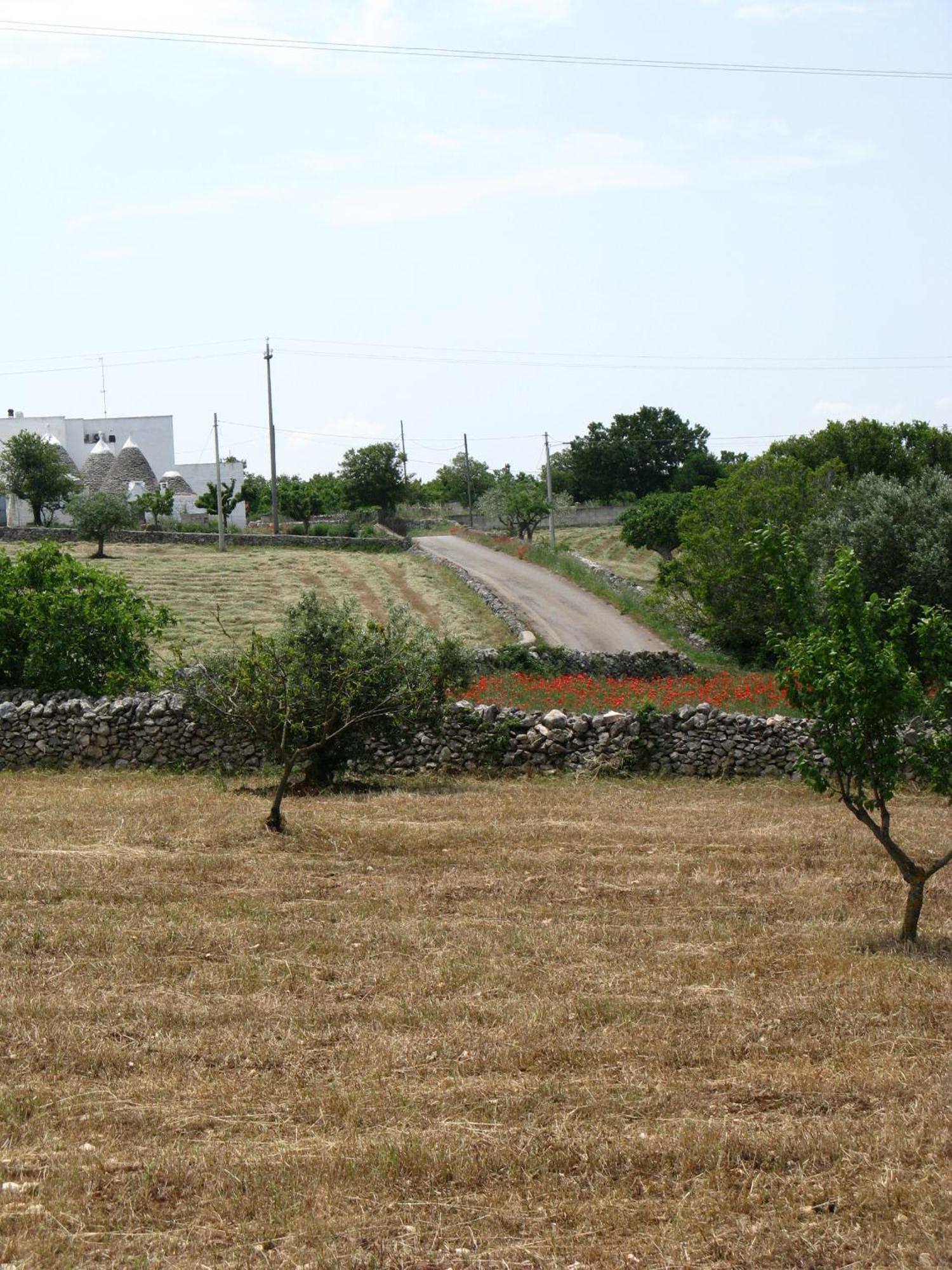 Trulli Il Castagno Guest House Martina Franca Exterior photo